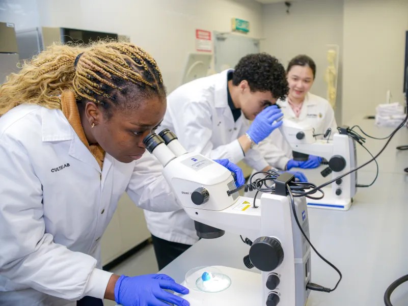 Research Scholarship